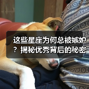 这些星座为何总被嫉妒？揭秘优秀背后的秘密（图2）
