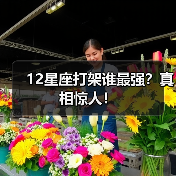 12星座打架谁最强?真相惊人!(图1) 12星座打架谁最强?真相惊人!(图1)