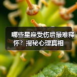哪些星座受伤后最难释怀?揭秘心理真相(图4) 哪些星座受伤后最难释怀?揭秘心理真相(图4)