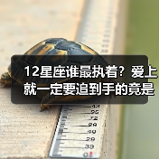12星座谁最执着？爱上就一定要追到手的竟是他们（图1）