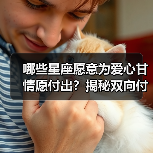 哪些星座愿意为爱心甘情愿付出?揭秘双向付出的星座组合(图1) 哪些星座愿意为爱心甘情愿付出?揭秘双向付出的星座组合(图1)