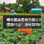 哪些星座愿意为爱心甘情愿付出?揭秘双向付出的星座组合(图3) 哪些星座愿意为爱心甘情愿付出?揭秘双向付出的星座组合(图3)