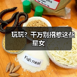 玩玩？千万别招惹这些星女（图4）