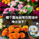 哪个星座最常在困境中伸出援手?(图3) 哪个星座最常在困境中伸出援手?(图3)
