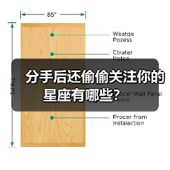 分手后还偷偷关注你的星座有哪些？（图1）