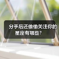 分手后还偷偷关注你的星座有哪些？（图3）