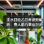 壬水日柱乙巳年运势解析：贵人助力事业财运（图3）