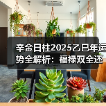 辛金日柱2025乙巳年运势全解析：福禄双全还是多灾多难？（图2）
