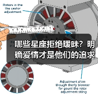 哪些星座拒绝暧昧？明确爱情才是他们的追求（图4）