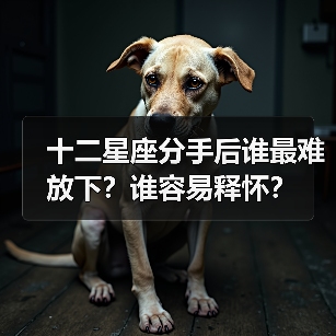 十二星座分手后谁最难放下？谁容易释怀？（图3）