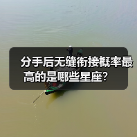 分手后无缝衔接概率最高的是哪些星座？（图2）