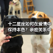 十二星座如何在爱情中保持本色？亲密关系中的自我守护指南（图3）