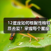 12星座如何根据性格特质去爱？掌握每个星座的专属爱情技巧（图4）