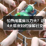 怕热闹星座压力大？这4大星座如何缓解社交焦虑？（图4）