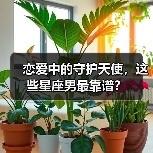 恋爱中的守护天使，这些星座男最靠谱？（图4）