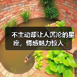 不主动却让人沉沦的星座，情感魅力惊人（图4）