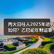 丙火日柱人2025年运势如何？乙巳蛇年财运事业大解析（图1）