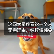 这四大星座喜欢一个人无需理由，纯粹情感令人动容（图1）