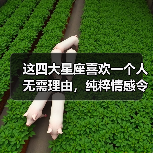 这四大星座喜欢一个人无需理由，纯粹情感令人动容（图4）