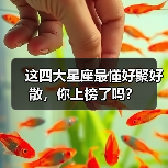 这四大星座最懂好聚好散，你上榜了吗？（图3）