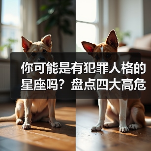 你可能是有犯罪人格的星座吗？盘点四大高危星座（图2）