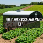 哪个星座女颜值高财运旺？（图1）
