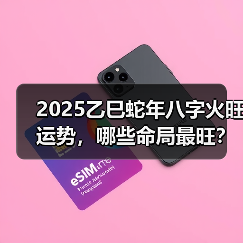2025乙巳蛇年八字火旺运势，哪些命局最旺？（图4）