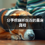 分手后藕断丝连的星座真相（图3）