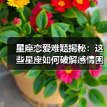 星座恋爱难题揭秘：这些星座如何破解感情困境？（图3）