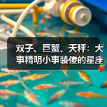 双子、巨蟹、天秤：大事精明小事装傻的星座真相（图1）