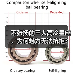 不张扬的三大高冷星座，为何魅力无法抗拒？（图1）