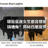 哪些星座女生最容易被撬墙角?揭秘四星座情感弱点(图1) 哪些星座女生最容易被撬墙角?揭秘四星座情感弱点(图1)