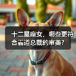 十二星座女，哪些更符合霸道总裁的审美？