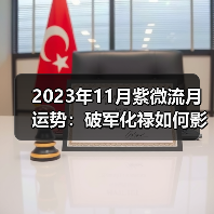 2023年11月紫微流月运势：破军化禄如何影响财运与人际关系（图3）