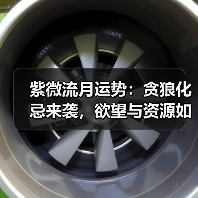 紫微流月运势：贪狼化忌来袭，欲望与资源如何平衡？（图4）