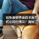 双鱼座射手座白羊座为何总招烂桃花?揭秘三大星座的恋爱雷区(图4) 双鱼座射手座白羊座为何总招烂桃花?揭秘三大星座的恋爱雷区(图4)