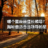 哪个星座最擅长领导？揭秘最适合当领导的星座（图1）