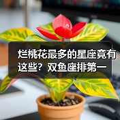 烂桃花最多的星座竟有这些？双鱼座排第一（图1）