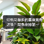 烂桃花最多的星座竟有这些？双鱼座排第一（图4）