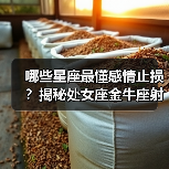 哪些星座最懂感情止损？揭秘处女座金牛座射手座的智慧（图4）