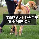 不喜欢的人?这些星座直接冷漠到极点(图4) 不喜欢的人?这些星座直接冷漠到极点(图4)