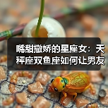 嘴甜撒娇的星座女：天秤座双鱼座如何让男友心甘情愿（图3）