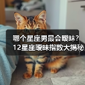 哪个星座男最会暧昧？12星座暧昧指数大揭秘（图2）