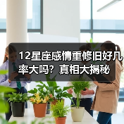 12星座感情重修旧好几率大吗？真相大揭秘（图4）