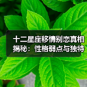 十二星座移情别恋真相揭秘:性格弱点与独特原因全解析(图1) 十二星座移情别恋真相揭秘:性格弱点与独特原因全解析(图1)