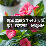 哪些星座女生最让人佩服?打不死的小强揭秘(图4) 哪些星座女生最让人佩服?打不死的小强揭秘(图4)