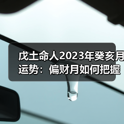 戊土命人2023年癸亥月运势:偏财月如何把握机遇?(图4) 戊土命人2023年癸亥月运势:偏财月如何把握机遇?(图4)