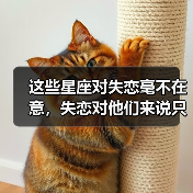 这些星座对失恋毫不在意,失恋对他们来说只是新开始(图3) 这些星座对失恋毫不在意,失恋对他们来说只是新开始(图3)