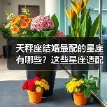 天秤座结婚最配的星座有哪些?这些星座适配度超高!(图1) 天秤座结婚最配的星座有哪些?这些星座适配度超高!(图1)