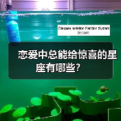 恋爱中总能给惊喜的星座有哪些?(图3) 恋爱中总能给惊喜的星座有哪些?(图3)